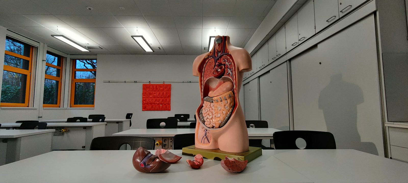 Erstsemester Medizin: der ehrliche Survival-Guide 2026