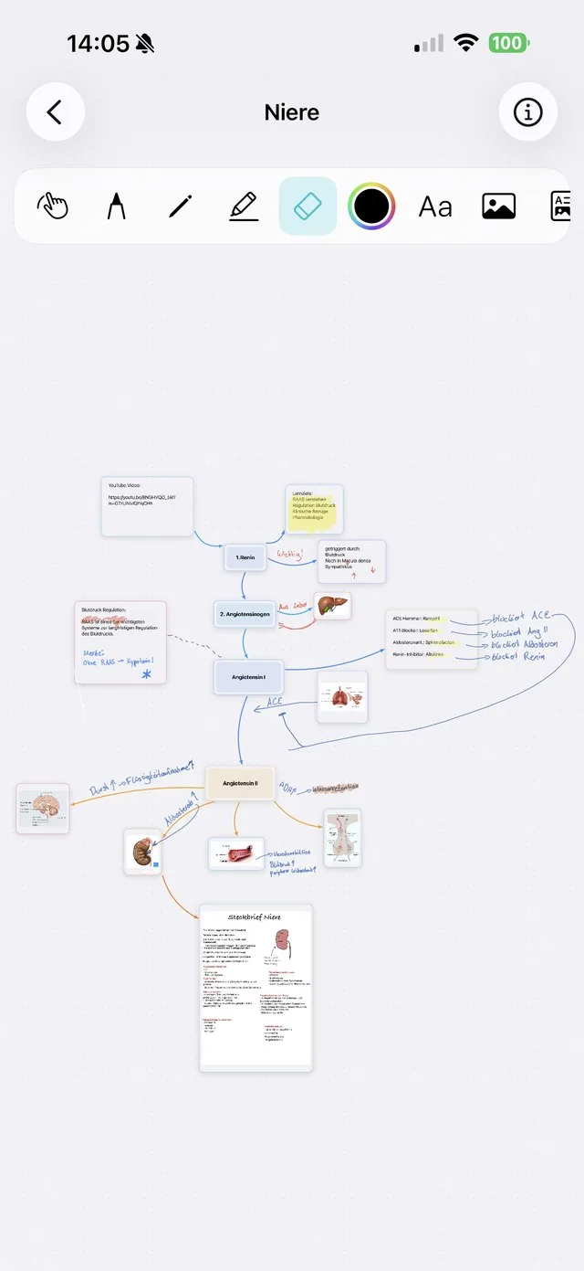 Mindmap mit Bildern, Sticky-Notes und Steckbrief in SlayMed